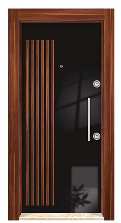 Steel Door