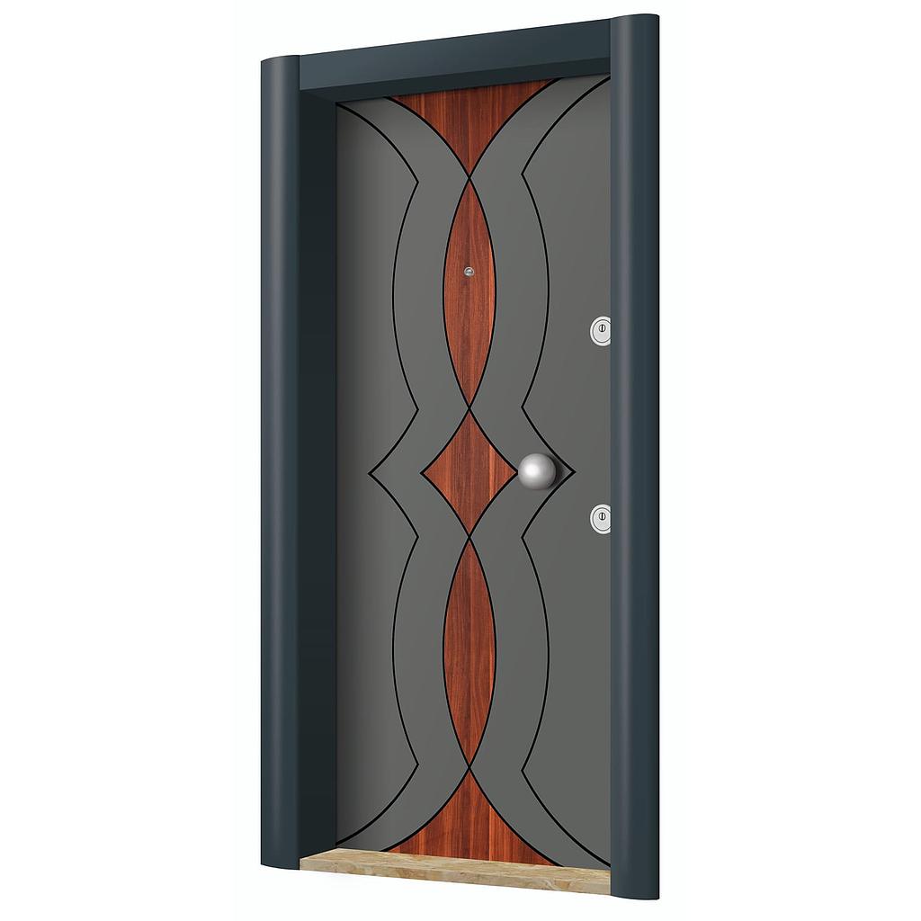 New Generation Steel Doors
