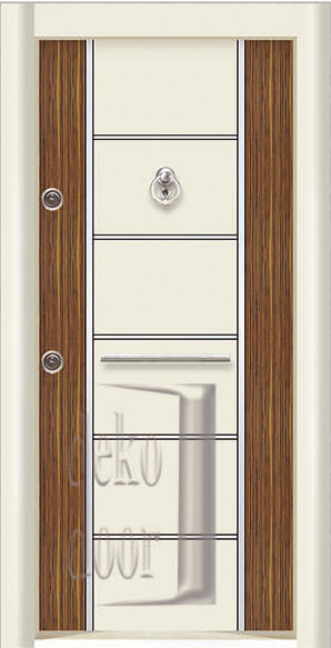 DRL 252 double color Laminox Steel Door