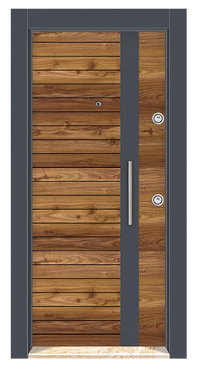 Double color Laminox Steel Door DRL 1711