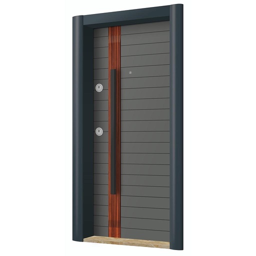 New Generation Steel Doors