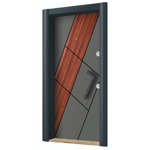 New Generation Steel Doors