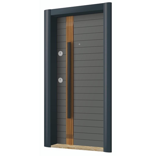 New Generation Steel Doors
