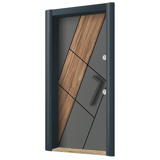 New Generation Steel Doors