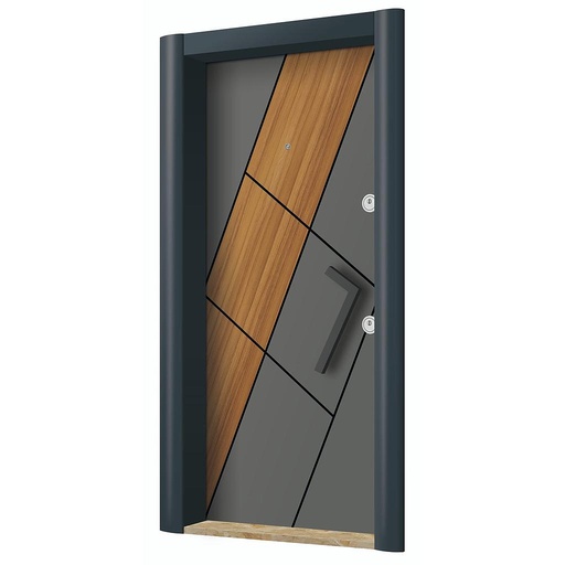 New Generation Steel Doors
