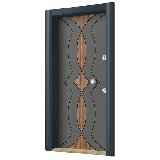 New Generation Steel Doors