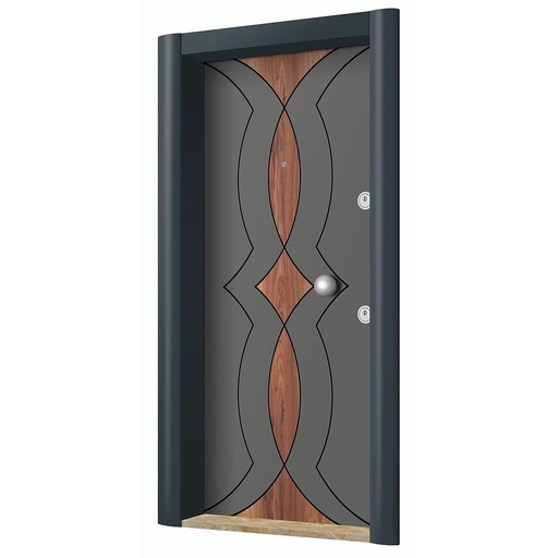 New Generation Steel Doors