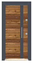 Double color Laminox Steel Door DRL 1711