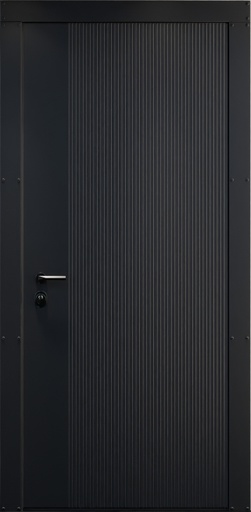 Steel Door
