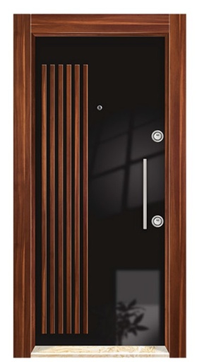 Steel Door